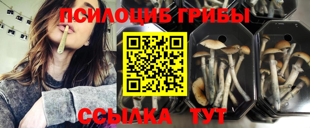 Псилоцибиновые грибы GOLDEN TEACHER Ленинск-Кузнецкий