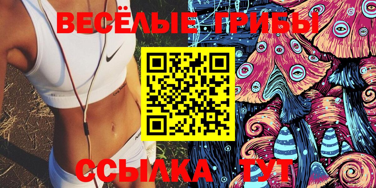 магазин продажи   Вход с VPN  Ленинск-Кузнецкий  Псилоцибиновые грибы GOLDEN TEACHER 