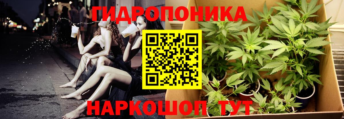 Ленинск-Кузнецкий  Каннабис тримм  Канабис VHQ  Вход с VPN  Конопля семена 